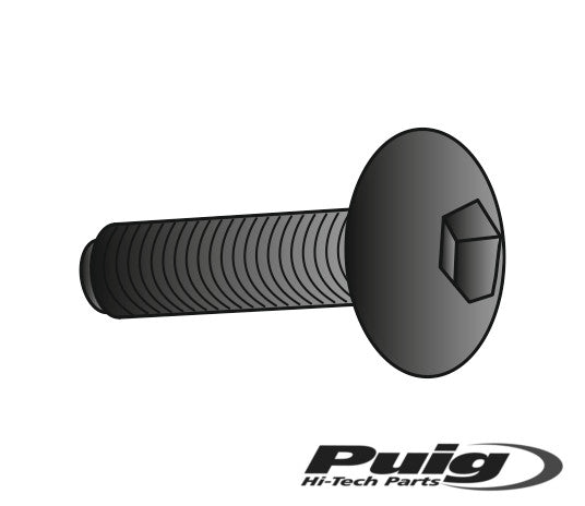 Puig Kit Screws Allen M6X55Mm. C/Green