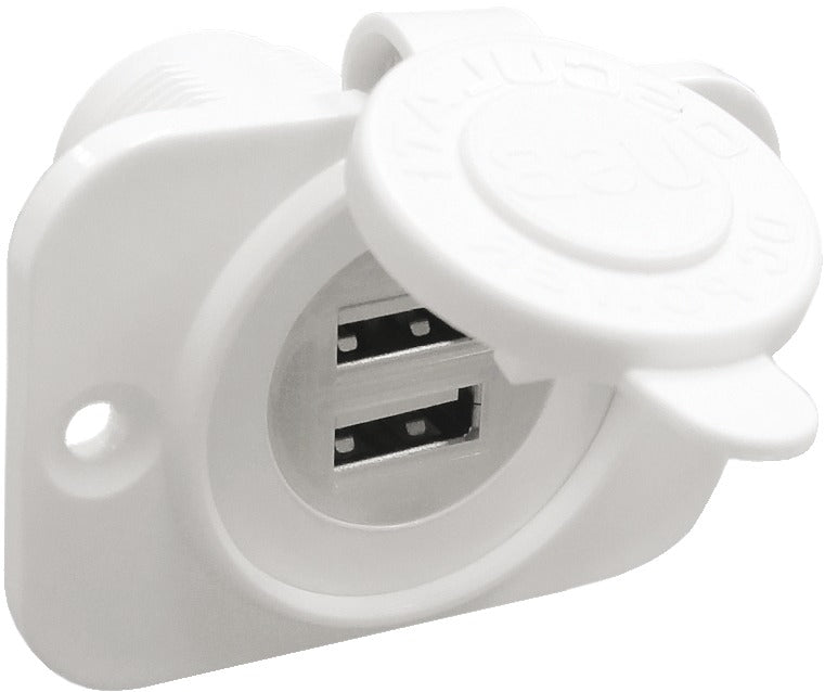 Double USB socket white rear nut + panel