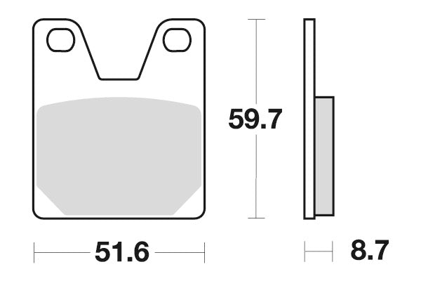 Sbs Jarrupalat Sintered Taakse