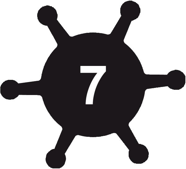 Sena Pinlock Insert Lens Momentum