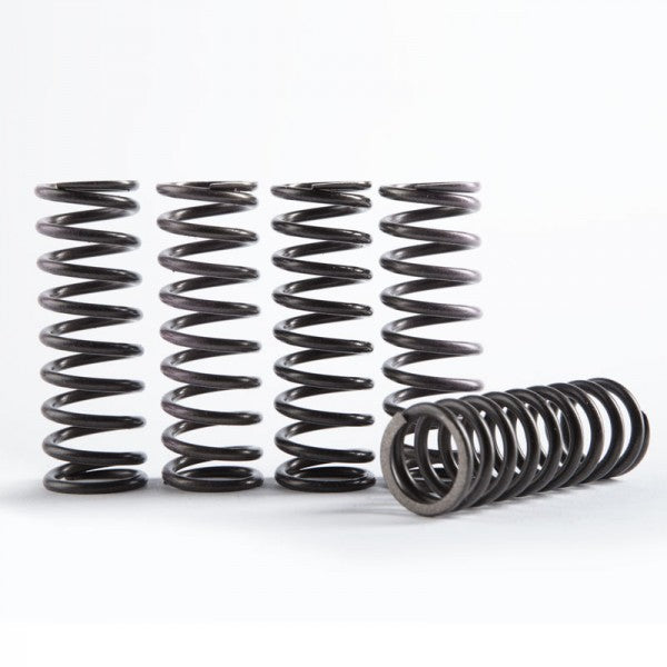 Hinson Hi Temp Kytkinjousi srj. (5kpl) KX450F 06-14