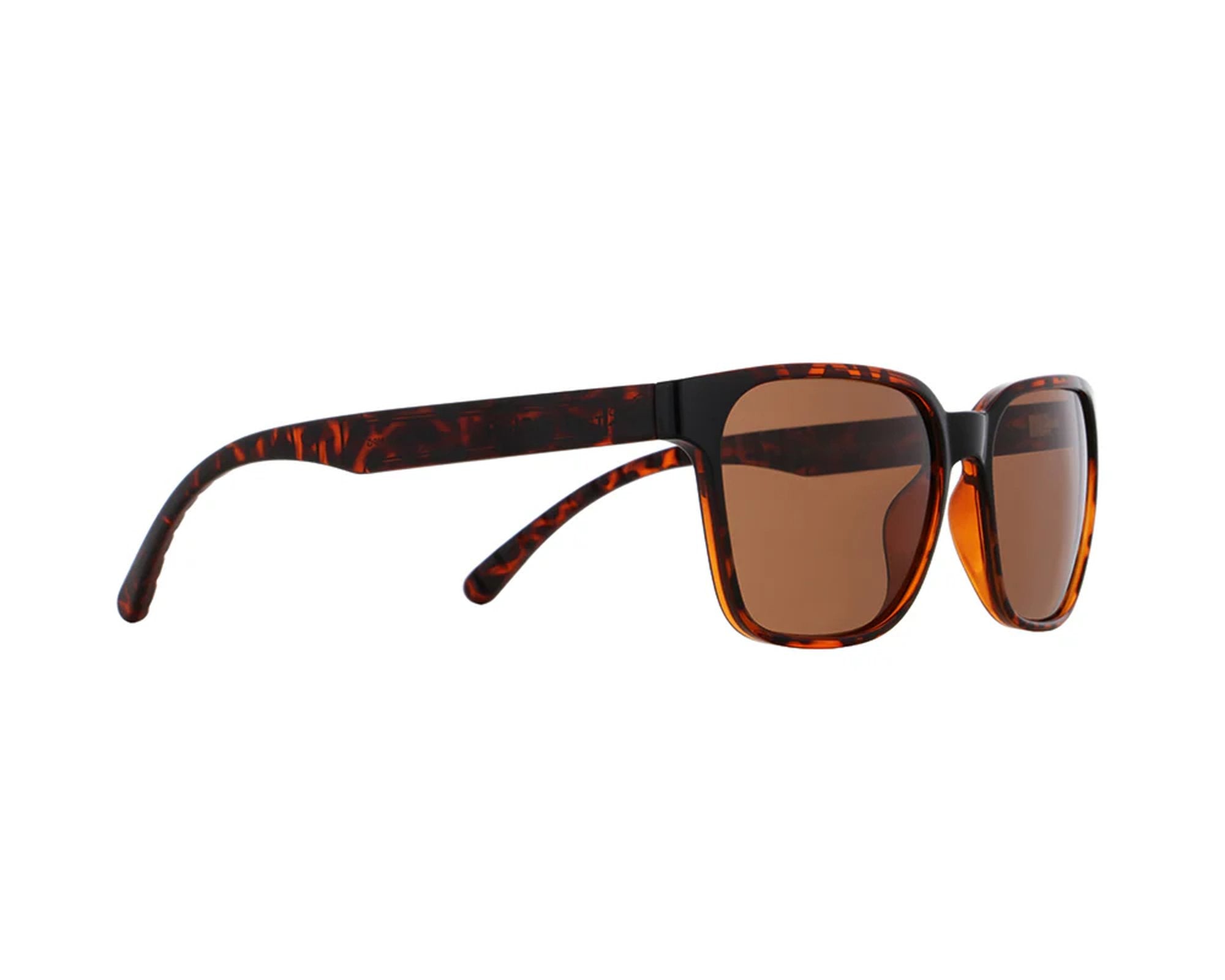 Spect Red Bull Eliot Sunglasses Shiny Havana w Brown lens