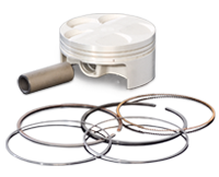 ProX Piston Kit KX250 '20 14.2:1 (77.96mm)